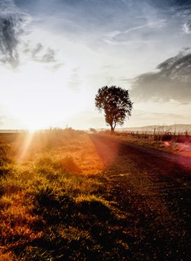 sunset rural